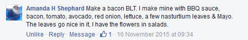 Make a BLT with Nasturtiums